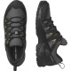 Salomon X Braze GTX